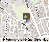 Elettrauto Pistoia,51100Pistoia