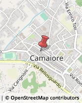 Contrada San Vincenzo, 65,55041Camaiore