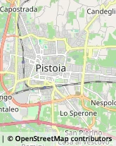 Autofficine e Centri Assistenza Pistoia,51100Pistoia