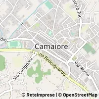 Mapa Camaiore