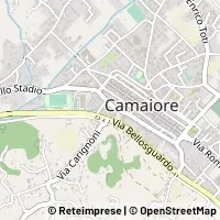 Carte Camaiore