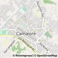 Map Camaiore