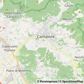 Aziende di Camaiore