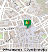 Via Del Duca, 5,51100Pistoia