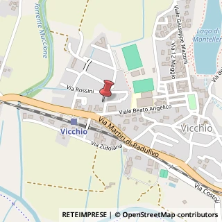 Mappa Via Giuseppe Verdi, 5, 50039 Vicchio, Firenze (Toscana)