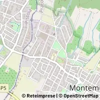Map Montemurlo