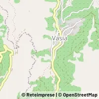 Hartă Vasia