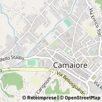 Kaart Camaiore