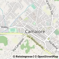 Karte Camaiore