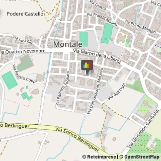 Scuole Pubbliche Montale,51037Pistoia