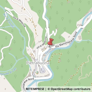 Mappa Via Mammianese, 148, 51017 Pescia, Pistoia (Toscana)