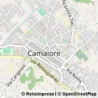 Harita Camaiore
