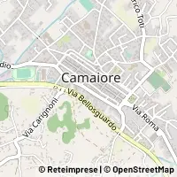 Kort Camaiore