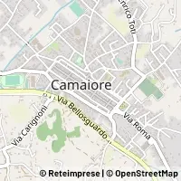 Hartă Camaiore