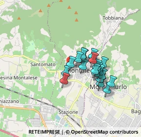 Mappa Via Ugo Foscolo, 51037 Montale PT, Italia (1.334)