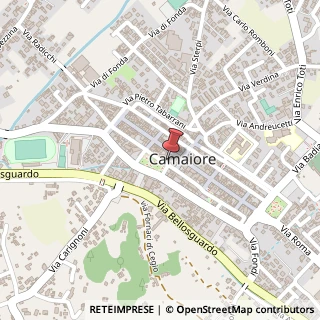 Mappa Via IV Novembre, 70, 55041 Camaiore, Lucca (Toscana)