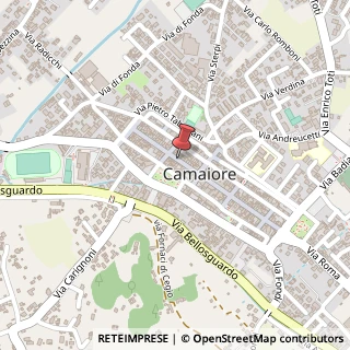 Mappa Via Vittorio Emanuele, 85, 55041 Camaiore, Lucca (Toscana)