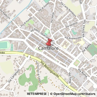 Mappa Piazza Petrucci, 8, 55041 Camaiore, Lucca (Toscana)