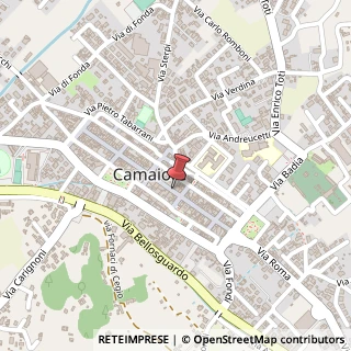 Mappa Via Vittorio Emanuele, 126, 55041 Camaiore, Lucca (Toscana)