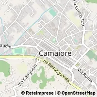 Kaart Camaiore