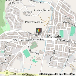 Giornali e Riviste - Editori Montale,51037Pistoia