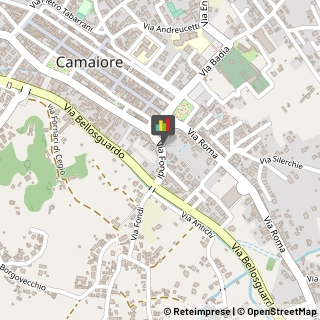 Agenzie Immobiliari,55041Lucca