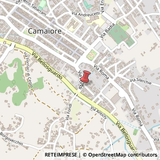Mappa Via Camillo Benso Conte di Cavour, 1, 55041 Camaiore, Lucca (Toscana)