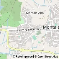 Map Montale