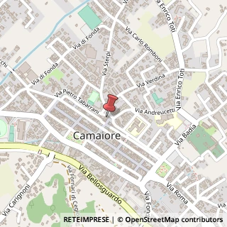 Mappa Via Pietro Tabarrani, 51, 55041 Camaiore, Lucca (Toscana)