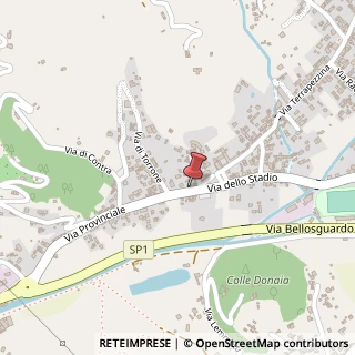 Mappa SP1, 87, 55041 Camaiore, Lucca (Toscana)