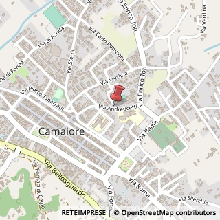 Mappa Via Andreuccetti, 1, 55041 Camaiore, Lucca (Toscana)