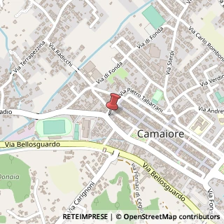 Mappa Piazza XXIX Maggio, 27, 55041 Camaiore, Lucca (Toscana)