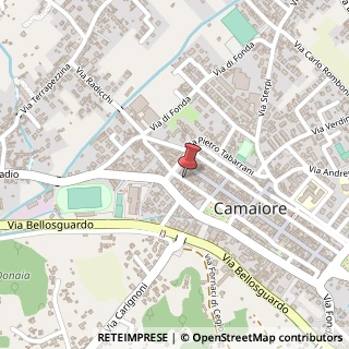 Mappa Via IV Novembre, 12, 55041 Camaiore, Lucca (Toscana)