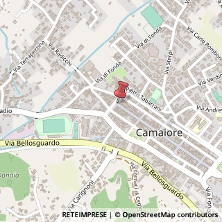 Mappa Via Vittorio Emanuele, 22, 55041 Camaiore, Lucca (Toscana)