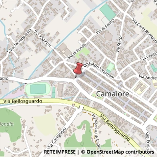 Mappa Piazza XXIX Maggio, 20, 55041 Camaiore, Lucca (Toscana)