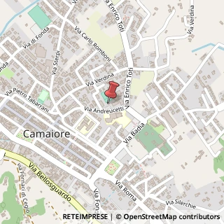 Mappa Via Andreuccetti, 16, 55041 Camaiore, Lucca (Toscana)