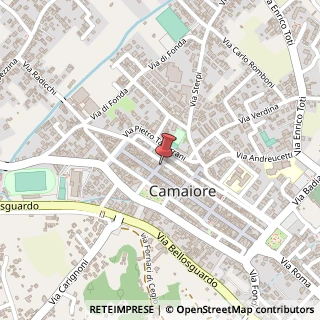 Mappa Contrada San Vincenzo, 65, 55041 Camaiore, Lucca (Toscana)