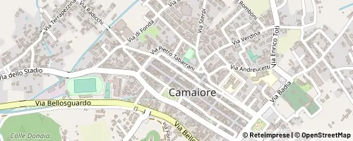Mappa Camaiore