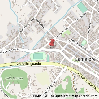 Mappa Via dello Stadio, 55041 Camaiore LU, Italia, 55041 Camaiore, Lucca (Toscana)