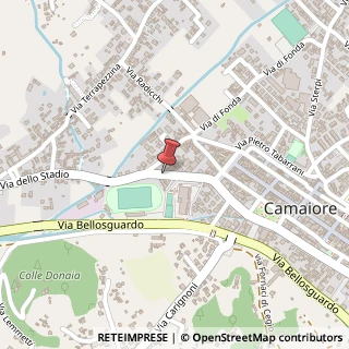 Mappa Via dello Stadio, 34, 55041 Camaiore, Lucca (Toscana)