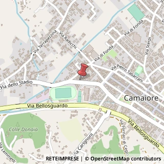 Mappa 39, 55041 Camaiore, Lucca (Toscana)