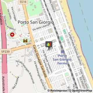 Articoli per Ortopedia Porto San Giorgio,63822Fermo