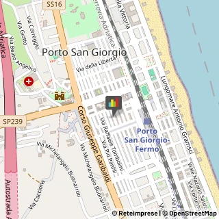 Podologia - Studi e Centri Porto San Giorgio,63822Fermo