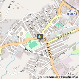 Impianti Sportivi Torrita di Siena,53049Siena