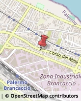 Corso dei Mille, 921/N,90123Palermo