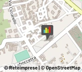 Palestre e Centri Fitness,89132Reggio di Calabria