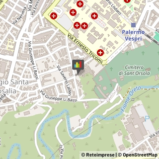 Bulbi e Sementi,90128Palermo