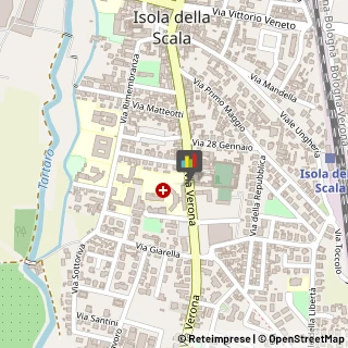 Articoli per Ortopedia Isola della Scala,37063Verona