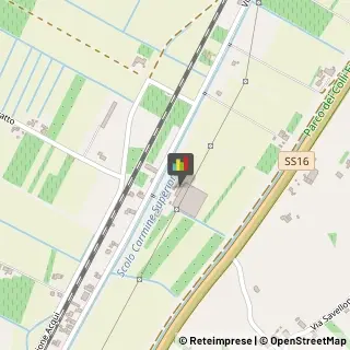 Piante e Fiori - Ingrosso Monselice,35043Padova