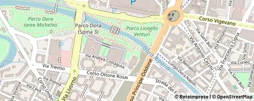 Mappa Turin